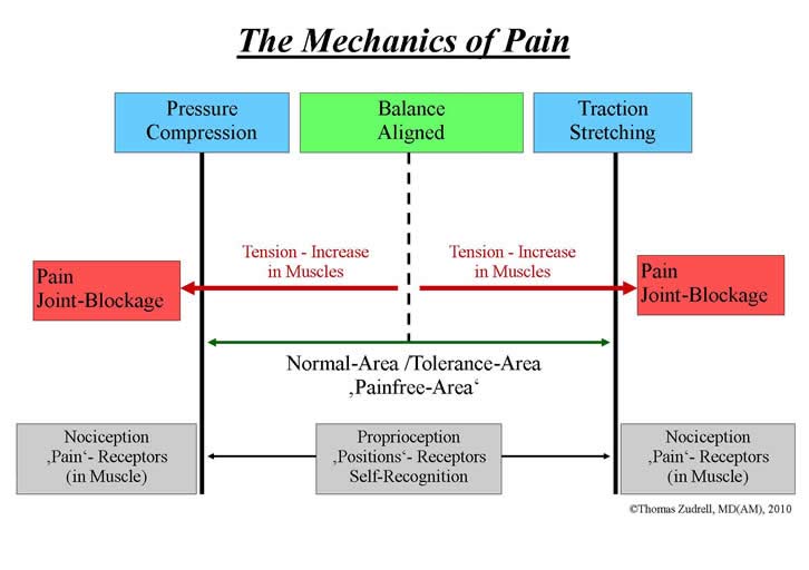 mechanics of pain graphic